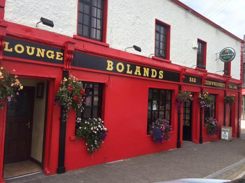 Bolands Self Catering Accommodation Hacketstown 外观 照片
